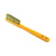 CONFESSION IN COLORS - dandelion yellow/red logo 5603