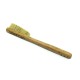 Confession Oak Tree - White Bristles  (with a hole)